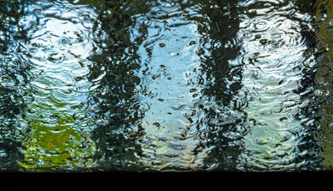 Underwater view through glass showing rippling water surface with light reflections and vegetation