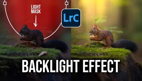 Graphic demonstrating backlight effect on a squirrel using Adobe Lightroom