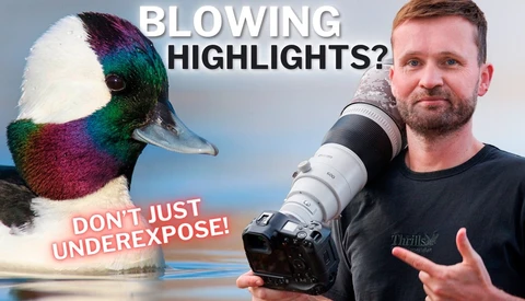 Wildlife photographer holding telephoto lens next to colorful duck with text about exposure and highlights