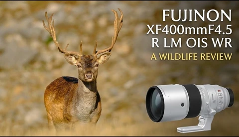 Male deer with large antlers facing camera, with Fujinon XF400mm F4.5 lens displayed beside it