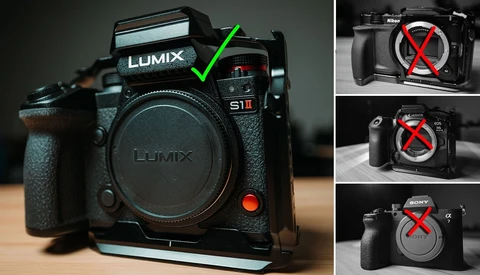 Panasonic Lumix S1II camera with a green checkmark, beside three camera bodies marked with red X's as incorrect examples.