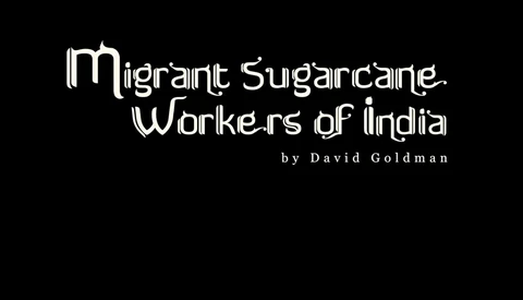 View Migrant Sugarcane Workers of India by David Goldman