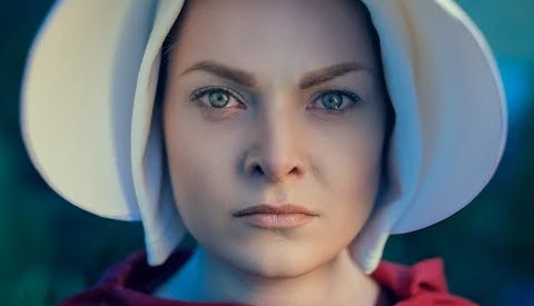 View Handmaid's Tale by antti karppinen