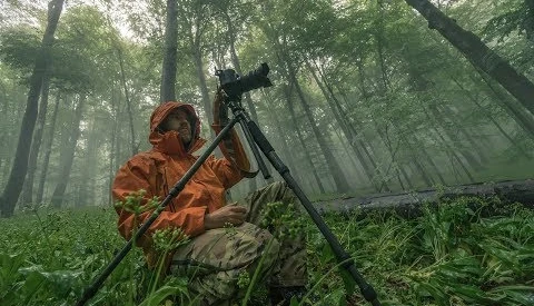 View Searching for the Shot by Veliko Karachiviev