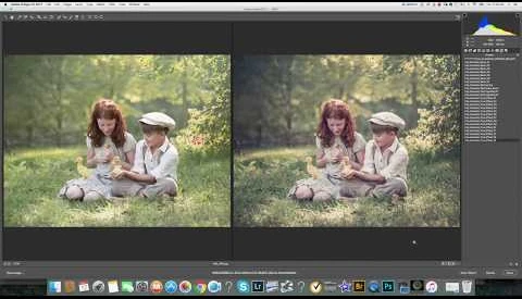 View Lilia Alvarado Adobe Camera Raw Presets Tutorial by Lilia Alvarado