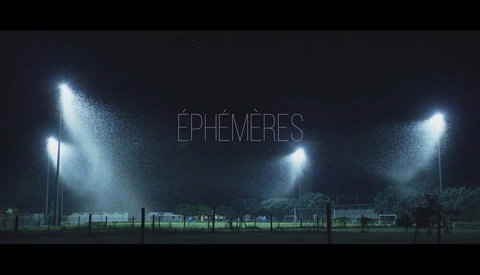 View EPHEMERES by Benjamin ZIEGLER