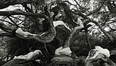 [Video] Fstoppers Original:  The Tree Spirit Project, Nudes In Nature