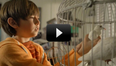 [Video] D800 HD Video "Through The Lens"