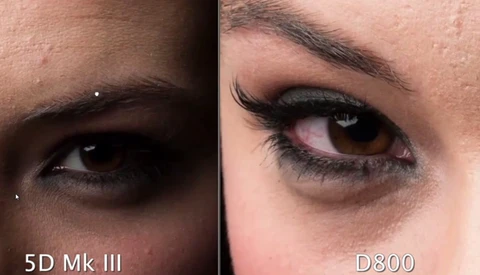 [Video] Canon 5D MK III vs Nikon D800