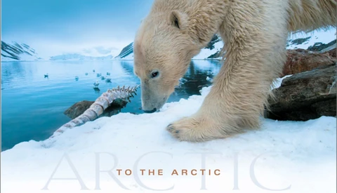 BTSV Polar Bear Photography with Florian Schulz