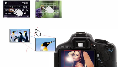New Rumors on Canon T4i Touchscreen Info and Specs