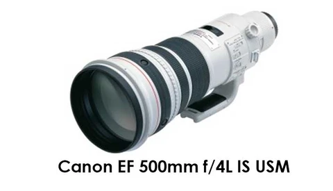 Canon EF 500mm f/4L IS USM