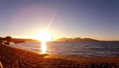 Seagull Steals, And Then Shoots With a GoPro Camera