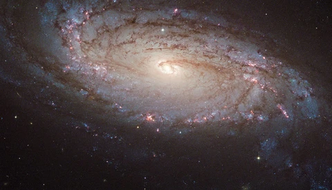 Hubble Space Telescope Spots a Supernova 80 Million Lightyears Away