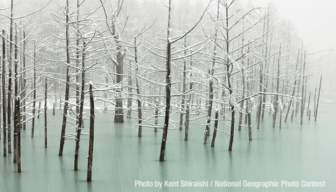 Spectacular Entries in National Geographic Photography Contest