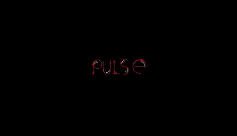 Using Cameras to Make Custom Music Through Heart Rate: PULSE