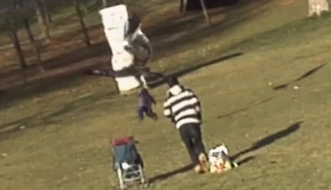 Is This Video of an Eagle Lifting a Baby Real or Fake?