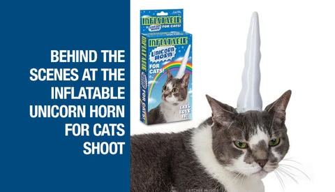 BTS Shoot - Inflatable Cat Unicorn Horn 