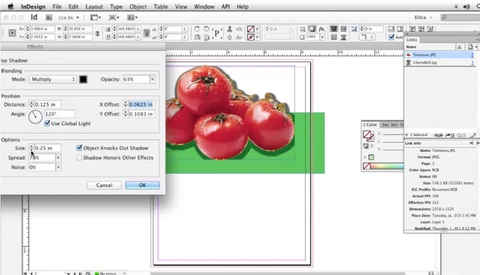 Freshen Up Your Adobe InDesign Skills
