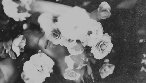 The Intimate Work of Jenny Woods (NSFW)