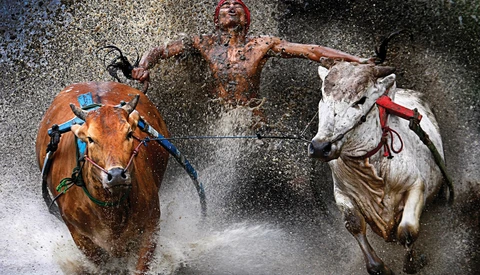 Winners of the 2013 World Press Photo Contest Announced – Some NSFW