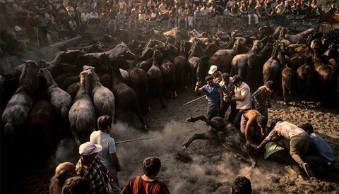 Inspiring Outlook On Photography With David Alan Harvey