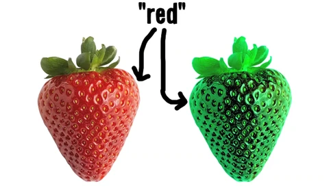 What If My Red Is Your Green? 