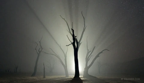 Take A Minute Out Of Your Day And Watch This Beautiful Timelapse 