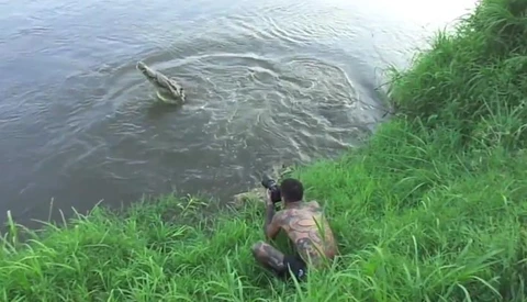 Photographer Narrowly Escapes Crocodile Attack