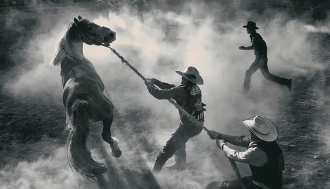 Smithsonian Magazine Announces Photo Contest Finalists