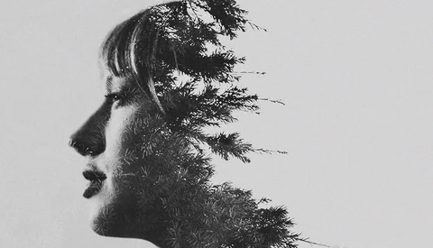 Using Multiple Exposures to Create Abstract Photographs