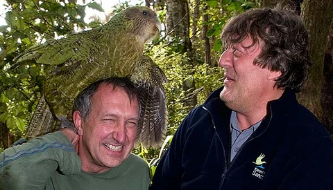 Hilarious Rare Bird Tries To Mate With Photographer In Wild