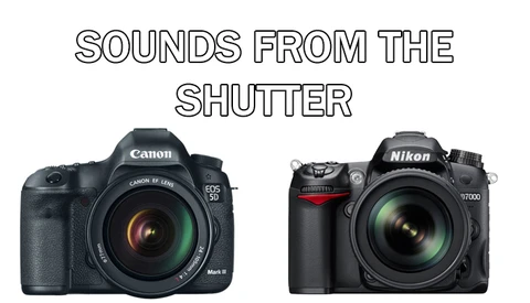 Sounds of the Shutter