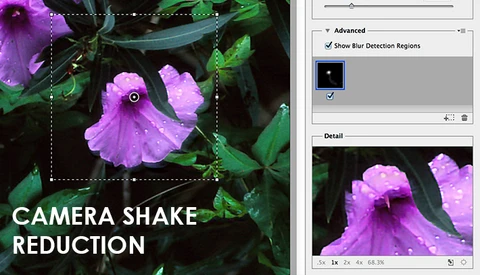 What is Camera Shake Reduction and How Does it Work?