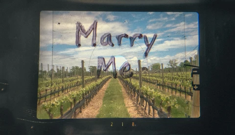 My Unique Proposal Through a Lens