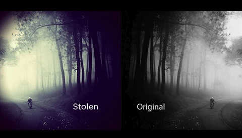 Stolen Photo Wins Samsung’s Live In The Moment Photo Contest