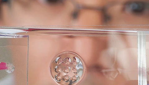 Fluid-Filled Lens Mimics Best Traits of Human Vision