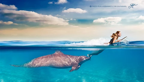 Amazing Underwater Imagery Breakdown: Magic Moments