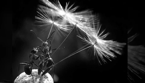 Winners of the Sigma Photo Contest!