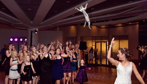 Brides Throwing Cats Instead Of The Bouquet of Flowers