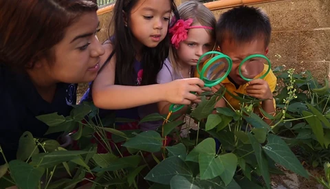 Expect The Unexpected: Tips for Working With Children