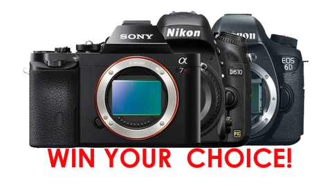 Win Your Choice of a Nikon D610, Canon 6D or Sony A7!