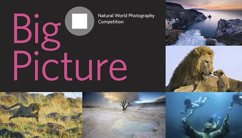 Enter Your Wildlife Images in "Big Picture: Natural World Photography Competition"