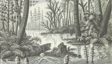  The British Library Adds One Million Public Domain Images to Flickr
