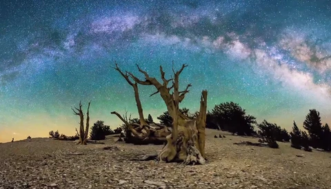 Michael Shainblum: The Art Behind The Time Lapse