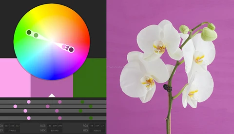 Gaining Inspiration Through Using A Color Wheel 