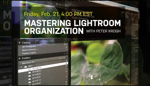 Photoshelter Hosts Webinar With DAM Master, Peter Krogh