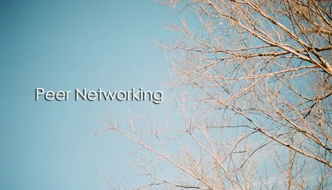 Tips For Peer Networking
