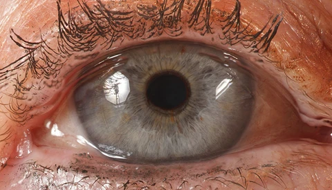 The Insane Detail Of The Human Face Captured In A 900 Mega Pixel Portrait Series (BTS video)