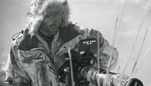 Beautifully Shot Profile Video Of Wildlife Photographer Asgeir Helgestad